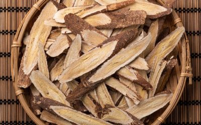 Astragalus Root And Immunity: Nurturing Your Defenses With The Herbal Ally