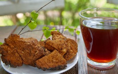 Chaga Mushroom Supplements And Immune Support: Unleashing The Potential Of The Medicinal Fungus