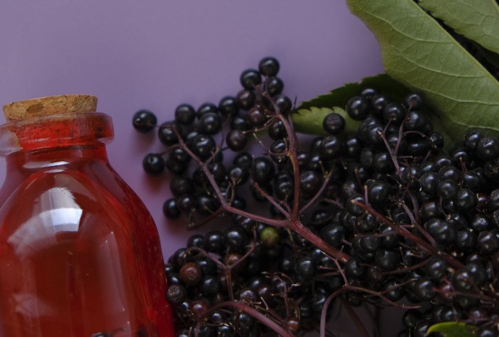 Elderberry Syrup And Immunity: Exploring The Antioxidant-Rich Supplement For Immune Support