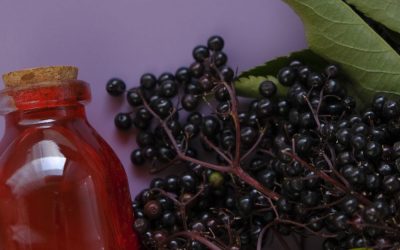 Elderberry Syrup And Immunity: Exploring The Antioxidant-Rich Supplement For Immune Support