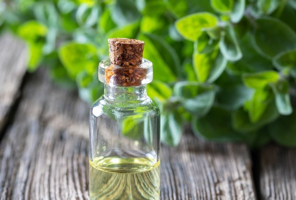 Natures Defense Exploring the Antimicrobial Properties of Oregano Oil for Immune Health