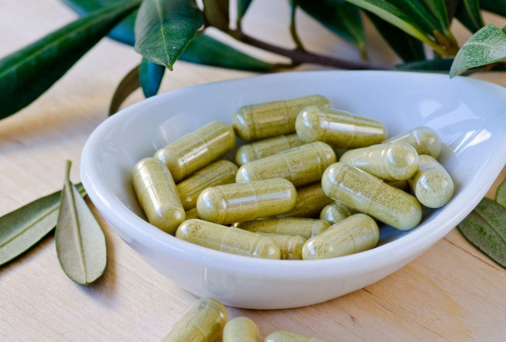 Olive Leaf Extract Supplements for Immune Health A Mediterranean Secret Unveiled