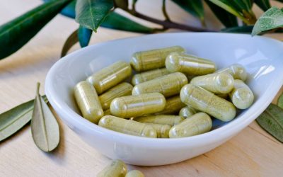 Olive Leaf Extract Supplements for Immune Health A Mediterranean Secret Unveiled