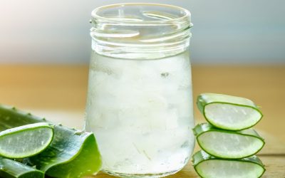 The Healing Power Of Aloe Vera Supplements: Supporting Your Immune System Inside Out