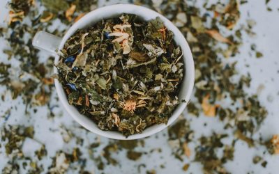 Immune Response and the Role of Herbal Teas