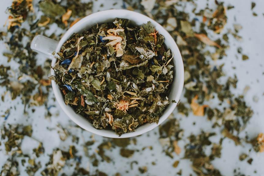 Immune Response and the Role of Herbal Teas