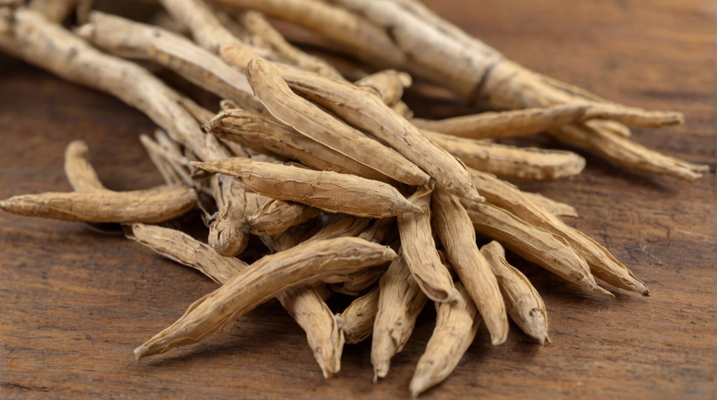 Potential Side Effects of Astragalus Root: Understanding Risks and Benefits