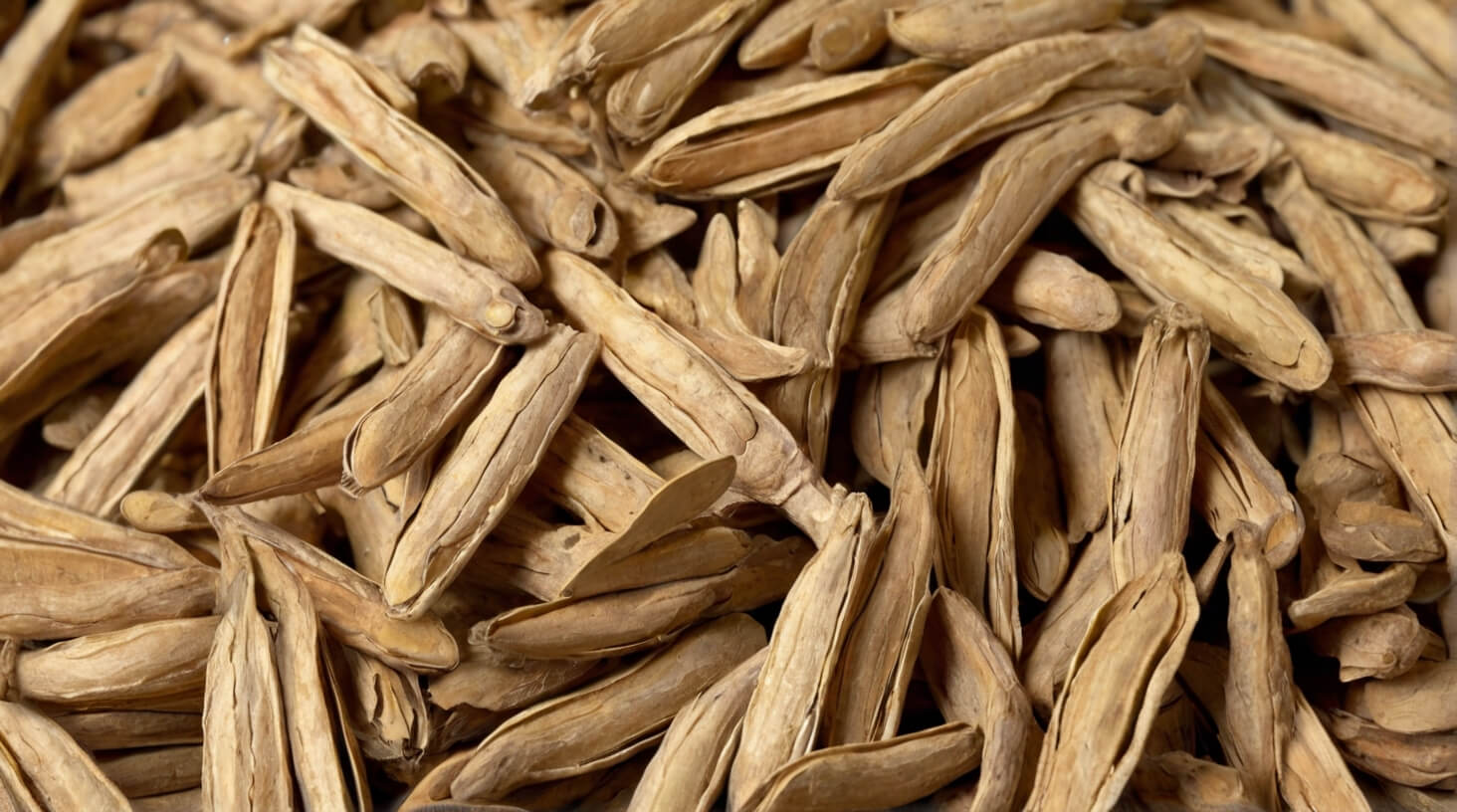 Close-up image of dried Astragalus root, a traditional Chinese herb known for its medicinal properties.